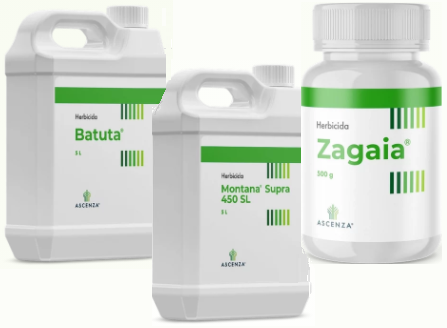 BATUTA, ZAGAIA e MONTANA SUPRA 450: Produtos ASCENZA em destaque
